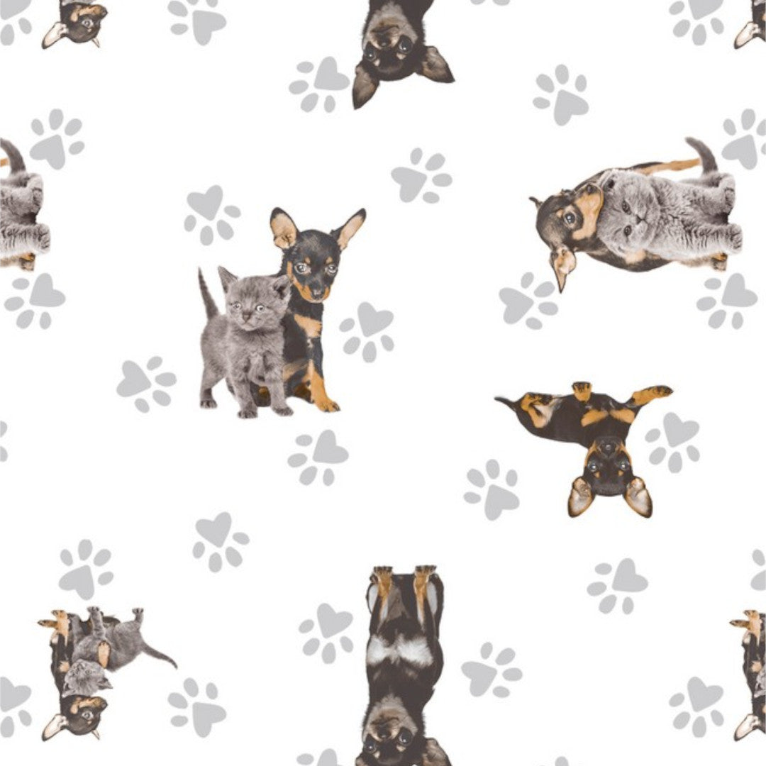 Dandy Grey – Voksdug med hunde og katte