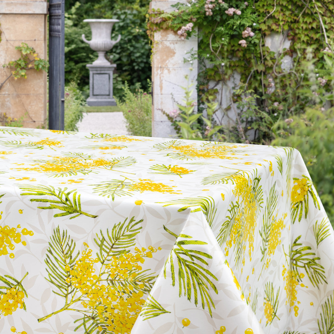 Mimosa Sunshine – Voksdug med friske blomster, 160 cm, miljø