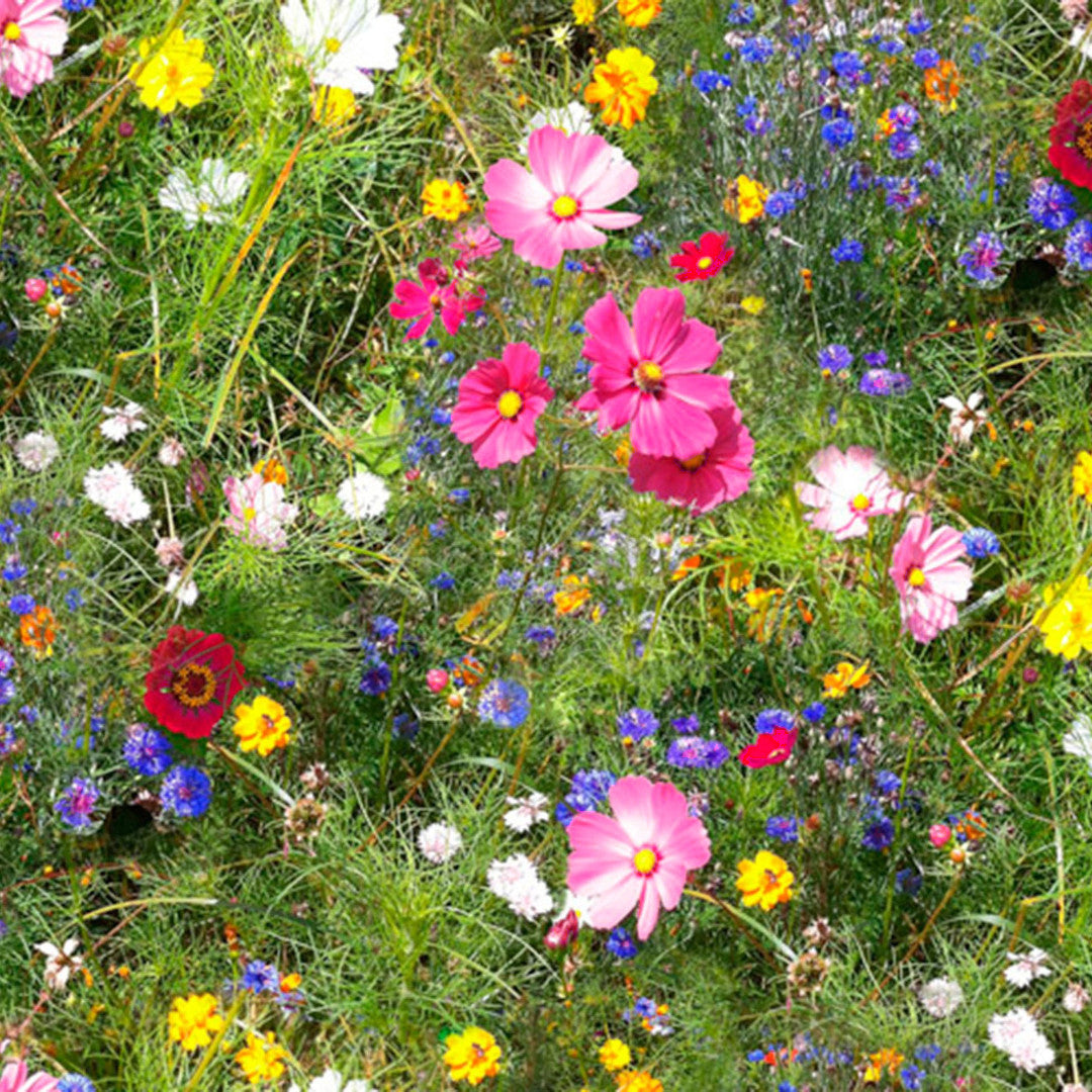 Vilde blomster - Oprullet voksdug med farverige blomster