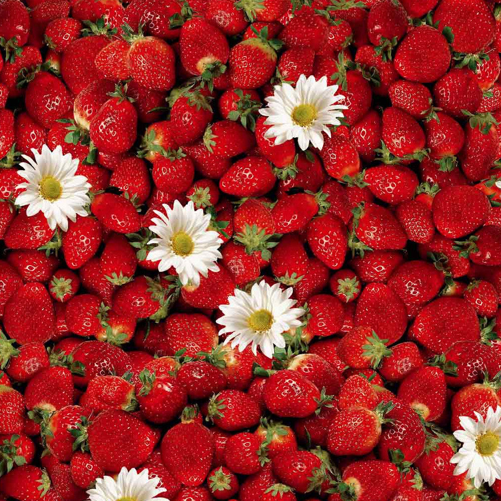 Dansk Sommer - Voksdug med jordbær og margueritter