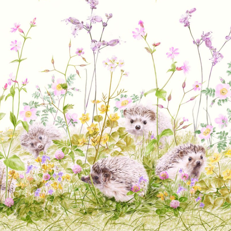 Il-giardino-di-Henriette-akryldug-pindsvin_2