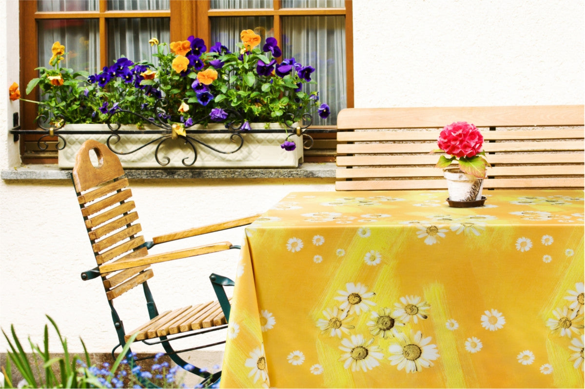 Margueritter i solskin, voksdug i sommer stemning