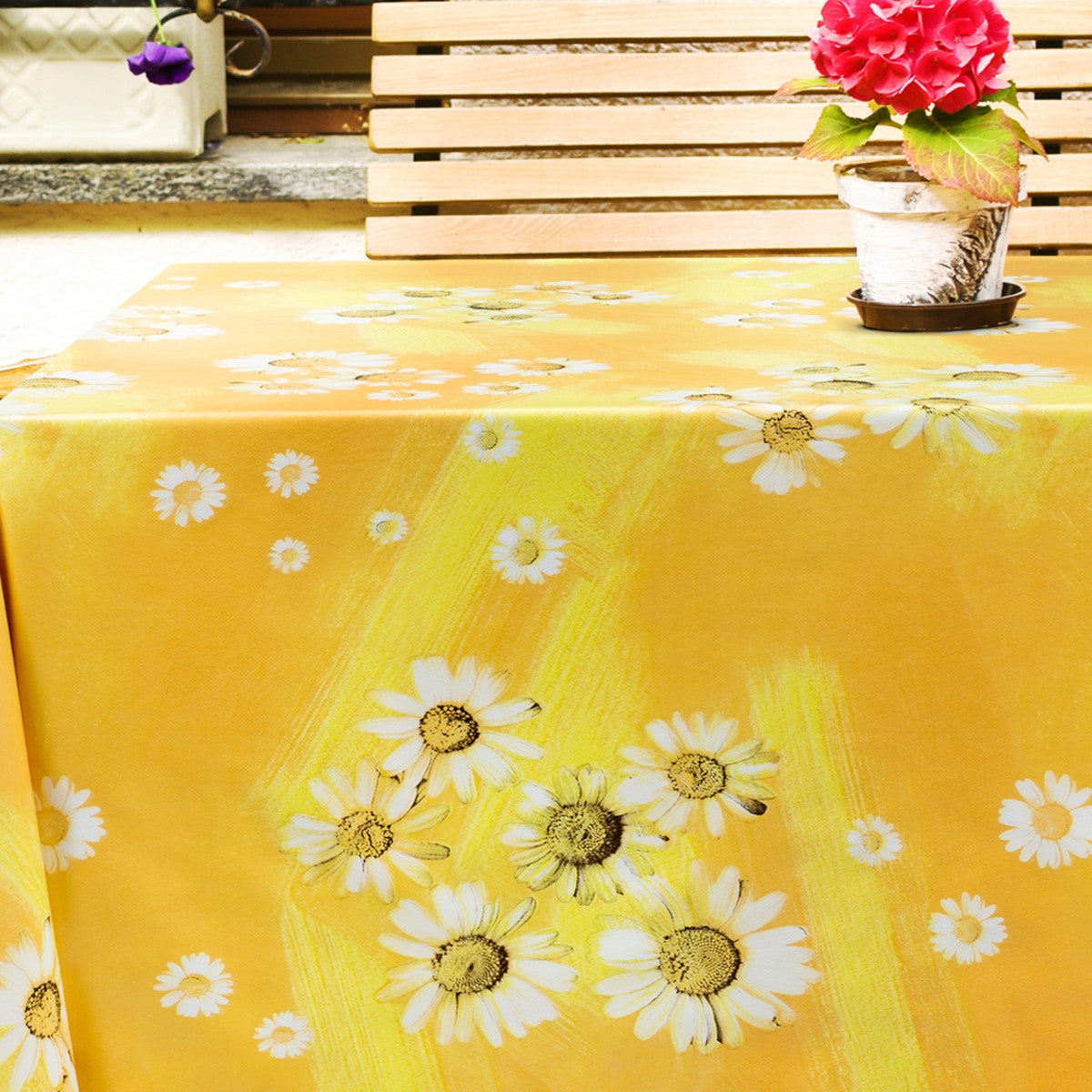 Margueritter i solskin, voksdug i sommer stemning