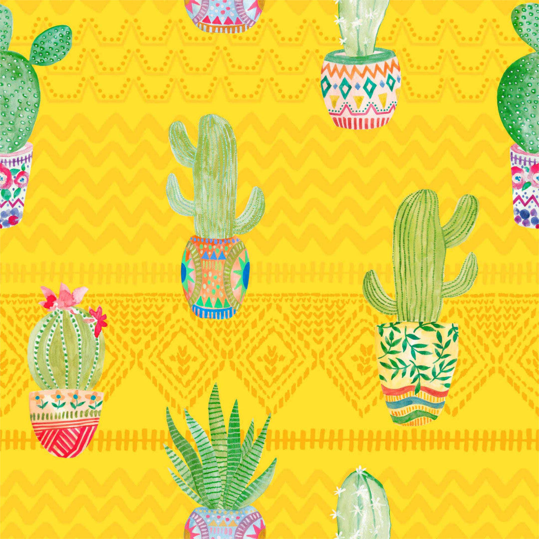 Melocactus Gul - Voksdug med sjove kaktus