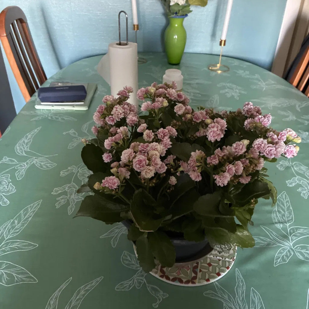 Mesina Green - Voksdug i hørlook med hvide stregblade