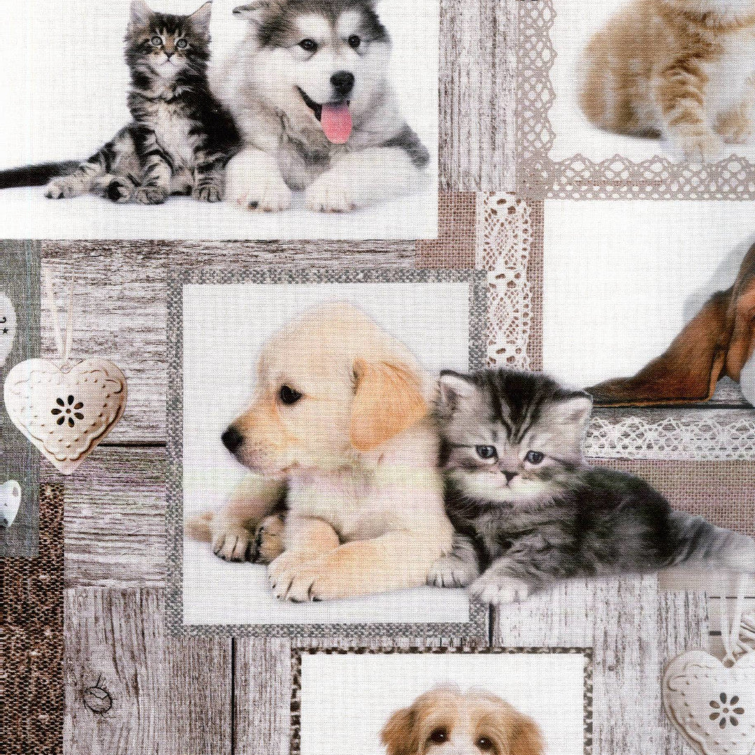 Migliori Amici - Akryldug med hundehvalpe og kattekillinger