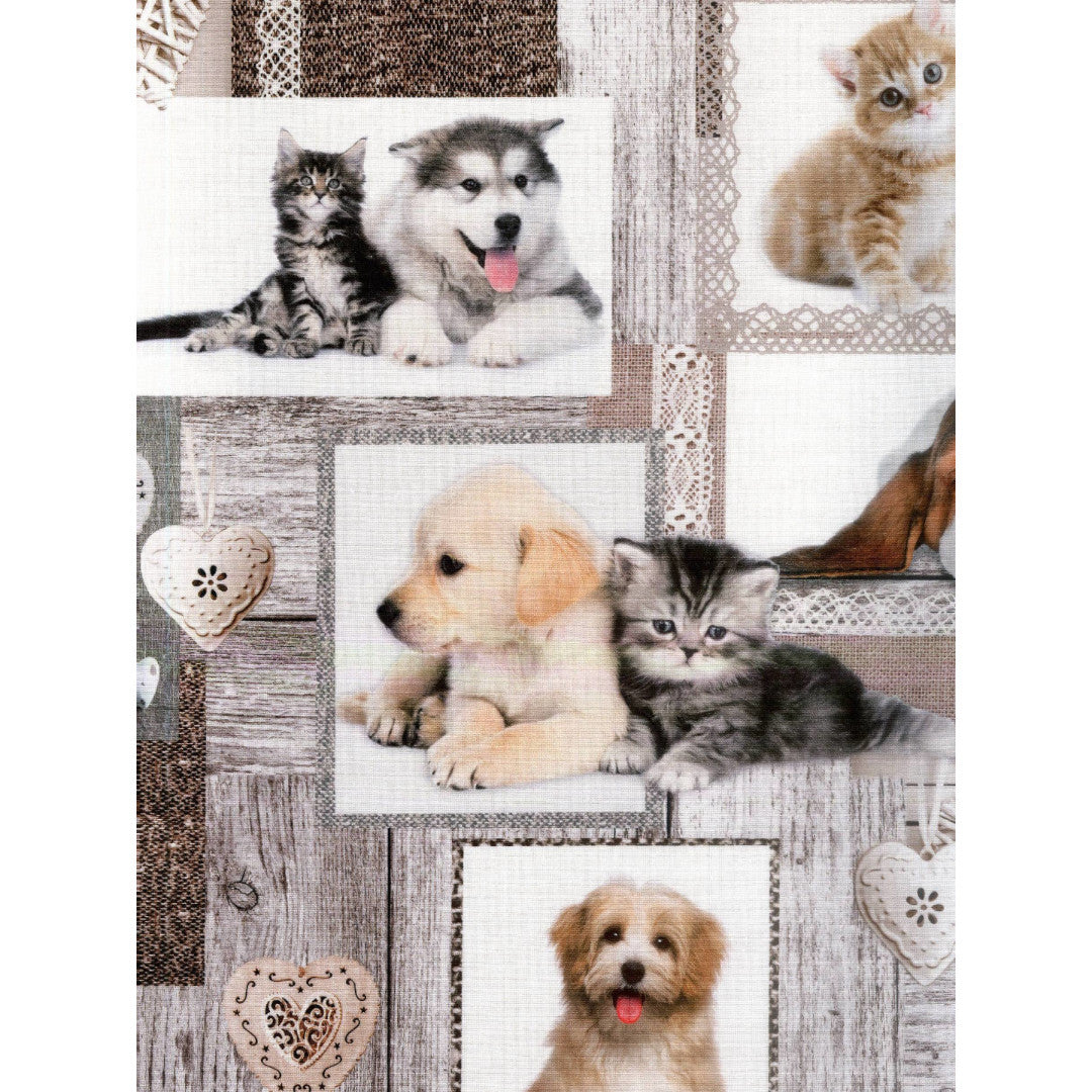 Migliori Amici - Akryldug med hundehvalpe og kattekillinger