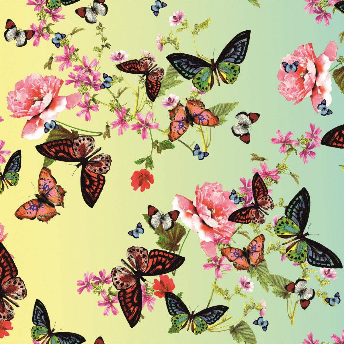 Aimee, voksdug med masser af sommerfugle og blomster