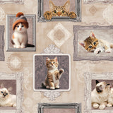 Killingegalleri – Beige voksdug med killinger i rammer, mønster