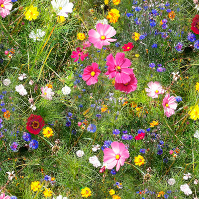 Vilde blomster - Oprullet voksdug med farverige blomster